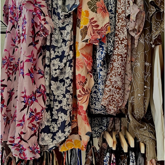 CHEAP ACACIAS - Picture 1 of 1